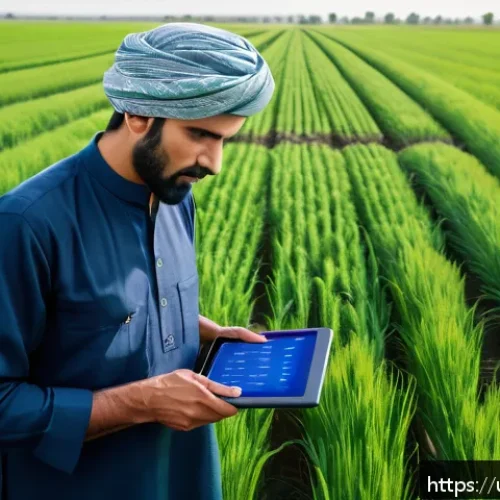 농업기술 관련 대학교 전공 소개 - A vibrant, detailed scene of a Pakistani farmer using smart farming technology in a lush green wheat...